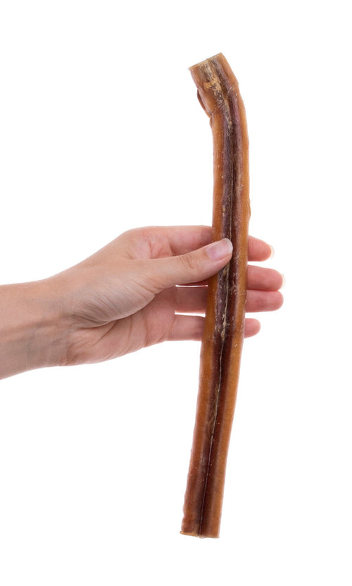 12" Jumbo Bully Sticks — all-natural dog treats made in the USA by Preen Pets