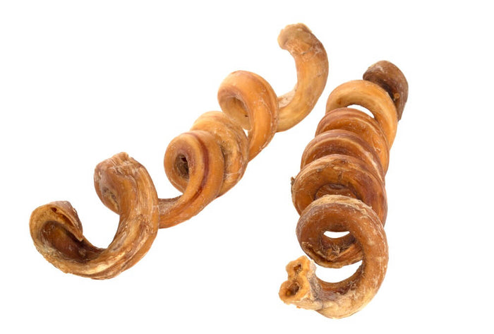 12-inch Jumbo Curly Bully Stick — all-natural dog treats made in the USA by Preen Pets (photo 2)