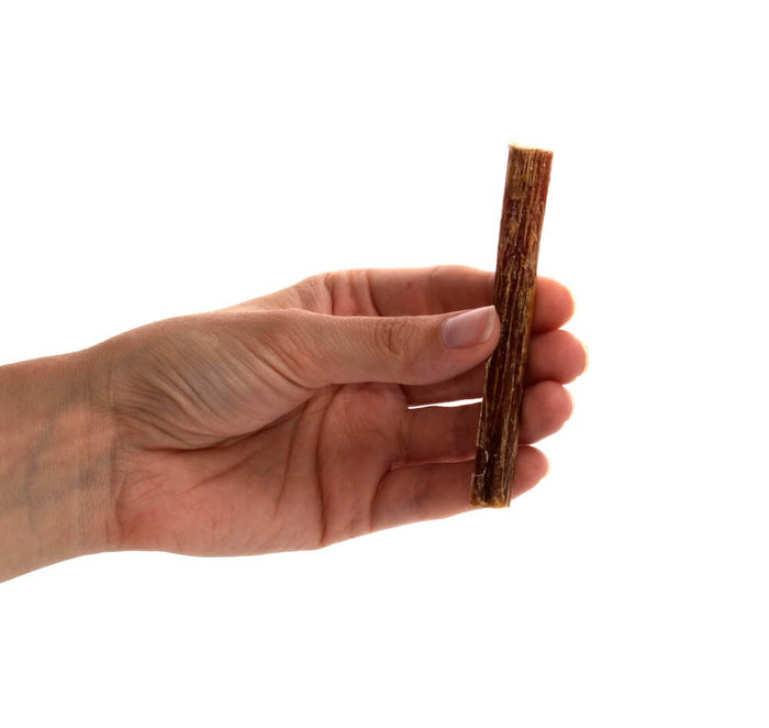 5-inch Thin Bully Sticks — all-natural dog treats made in the USA by Preen Pets