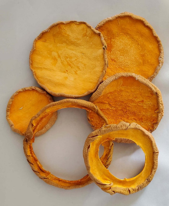 Butternut Squash — all-natural dog treats made in the USA by Preen Pets (photo 2)