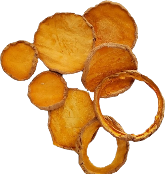 Butternut Squash — all-natural dog treats made in the USA by Preen Pets (photo 3)