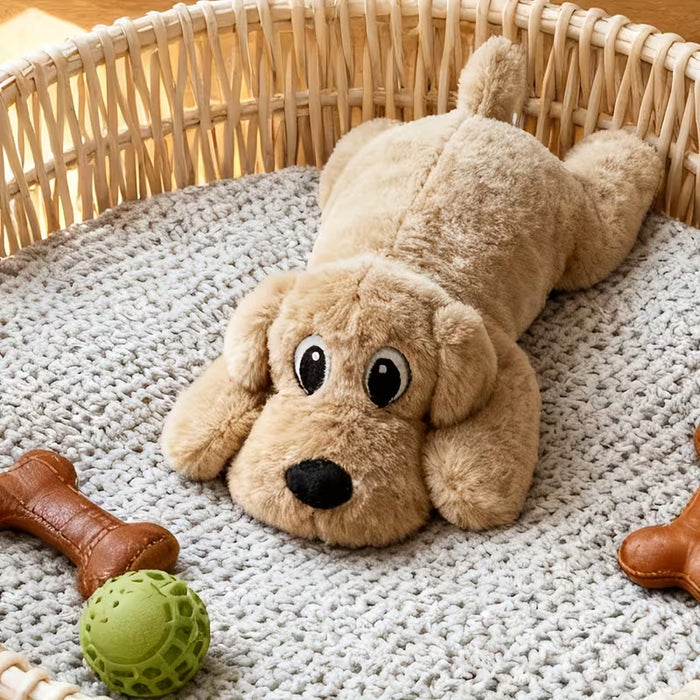 Dog Calm Box – Bruno’s Curated Comfort & Enrichment Set for Relaxation