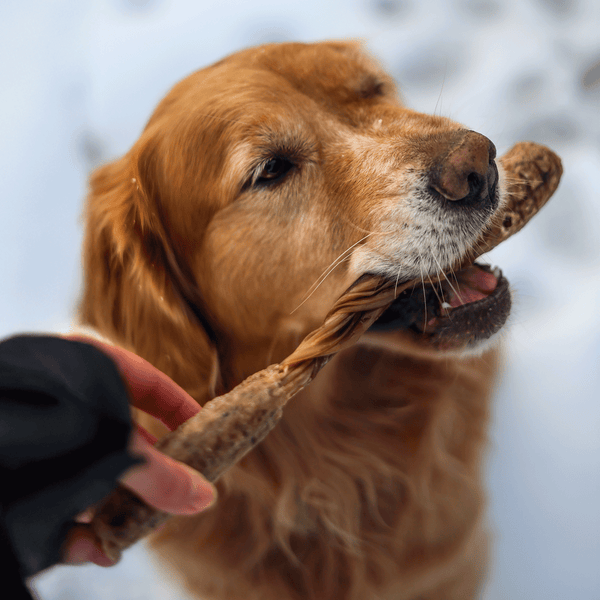 Dogginstix Lamb Collagen - Barbell Dog Treats
