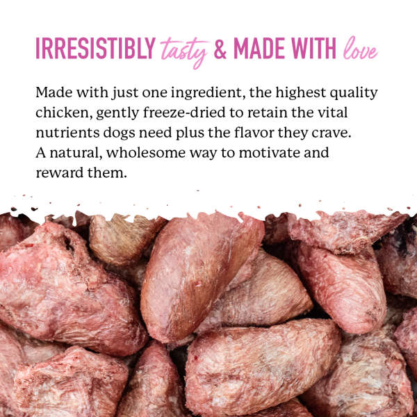 Dr. Harvey's Chicken Hearts Freeze-Dried Raw Chicken Heart Treat for Dogs