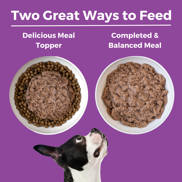 Koha Limited Ingredient Diet Kangaroo Entrée for Dogs