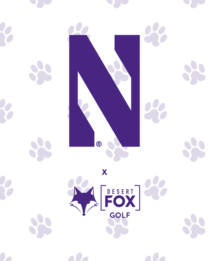 NCAA - Northwestern
