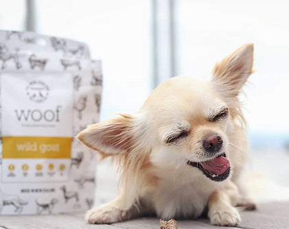 New Zealand Natural Pet Food Woof Wild Goat for Dogs