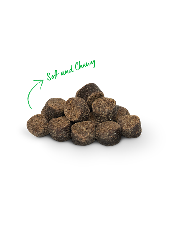 Open Farm Be Good Bites Chicken Treats