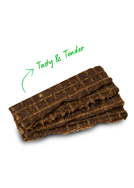 Open Farm Grain-Free Wild-Caught Salmon Jerky Strips