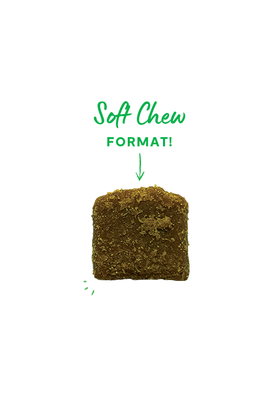 Open Farm Hip & Joint Supplement Chews for Dogs