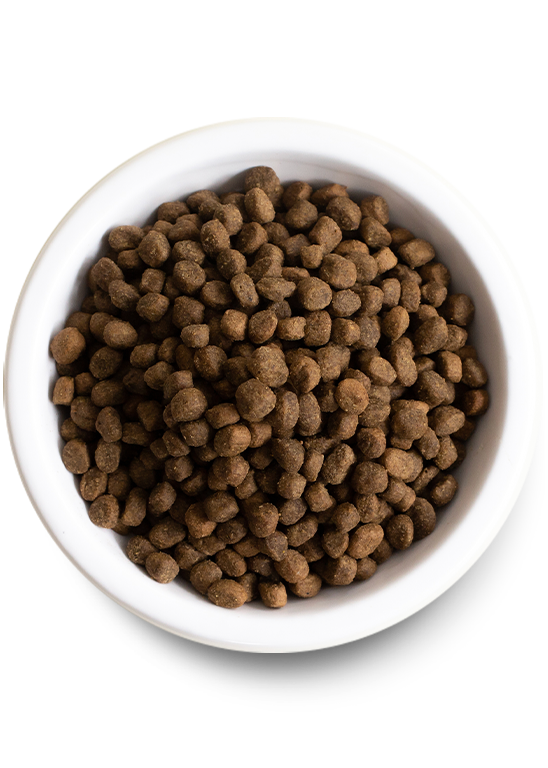 Open Farm New Zealand Venison & Ancient Grains Dry Dog Food