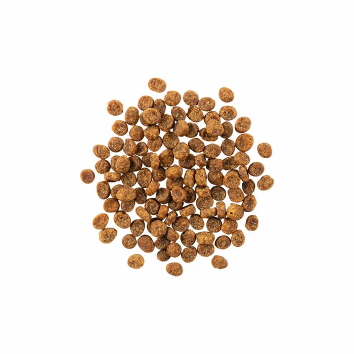 Petcurean Go! Solutions Sensitivities Limited Ingredient Grain-Free Salmon Recipe Dry Cat Food