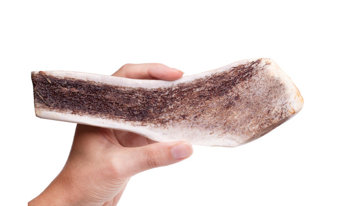 Roasted Elk Antlers — all-natural dog treats made in the USA by Preen Pets