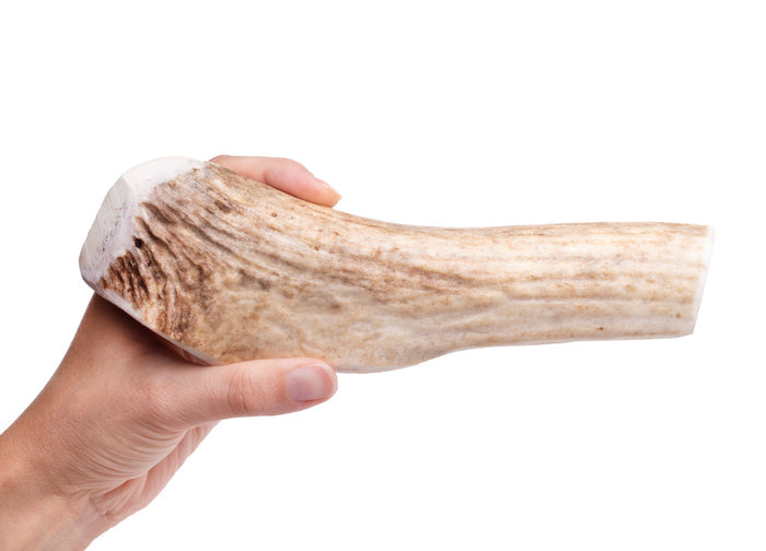 Roasted Elk Antlers — all-natural dog treats made in the USA by Preen Pets (photo 2)