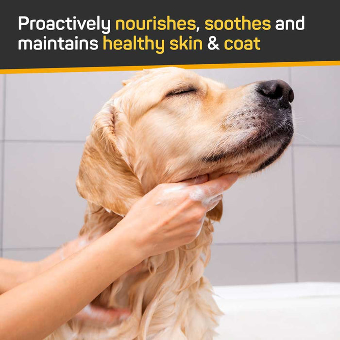 Silver Honey Skin & Coat Care Nourish & Soothe Shampoo with Odor Neutralizer