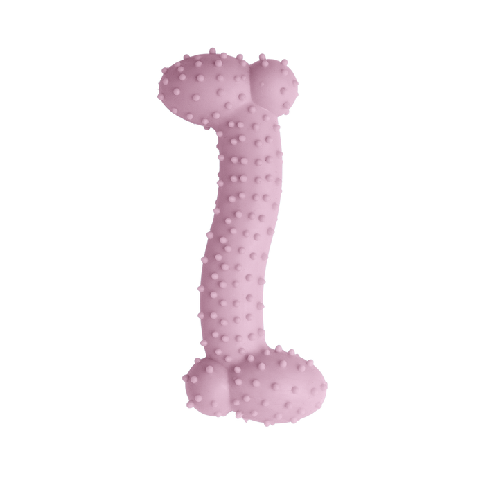 Snugarooz Lil Baby Bone Dog Toy
