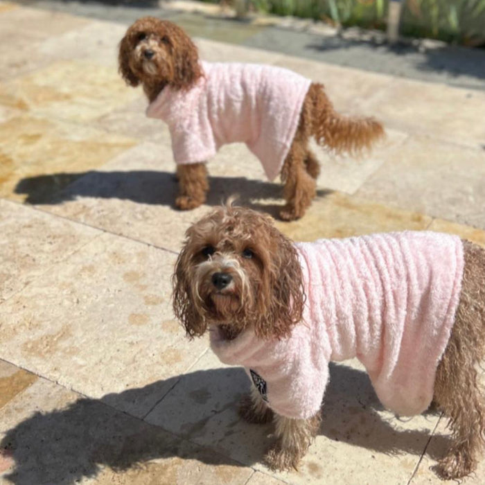 Two small brown dogs standing on a stone patio outdoors, each wearing a light pink fleece pet towel.