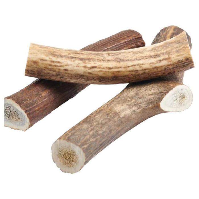 Whole Elk Antler — all-natural dog treats made in the USA by Preen Pets