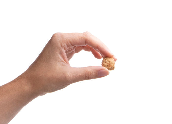 Wild Alaskan Salmon Meatballs — all-natural dog treats made in the USA by Preen Pets